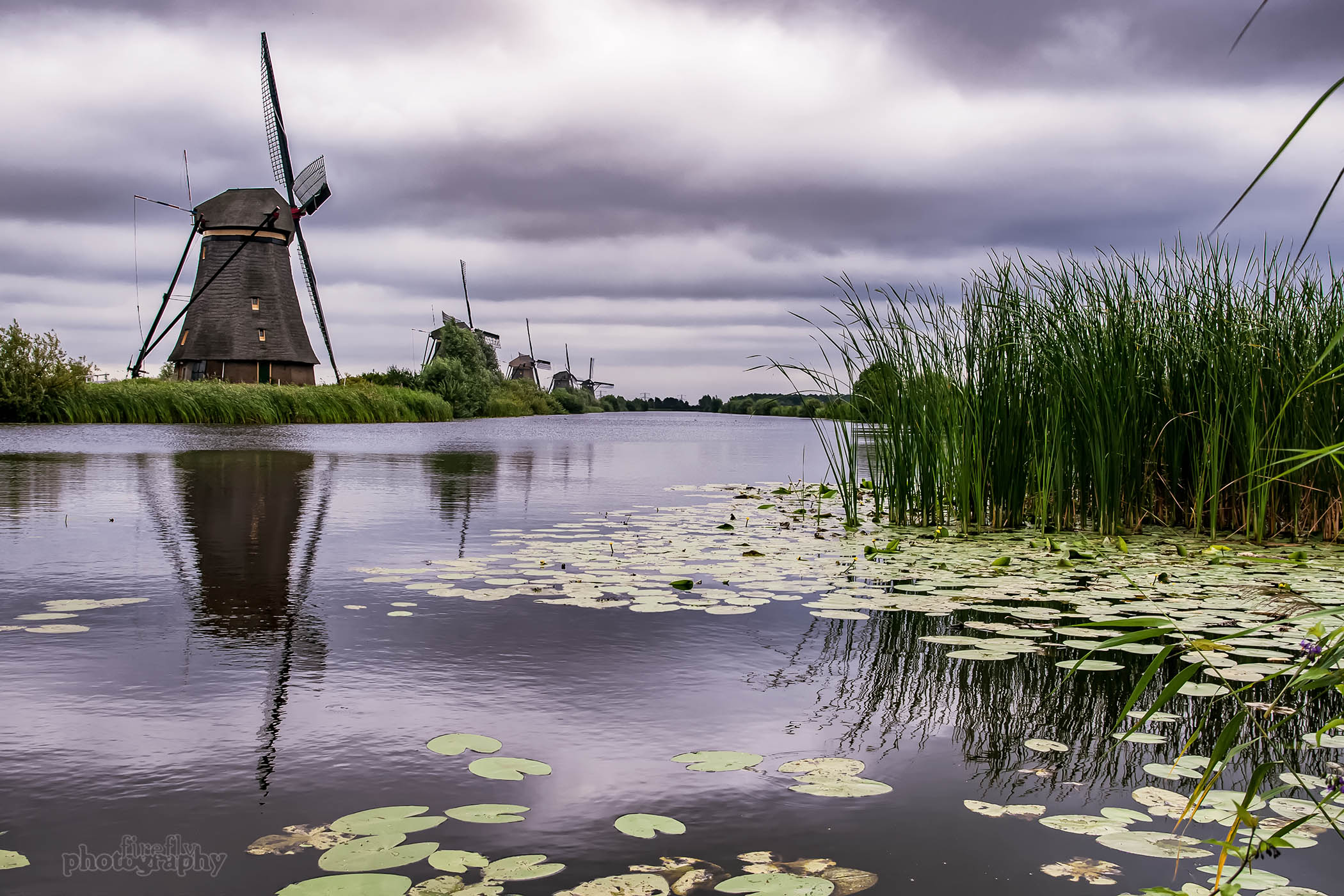 Kinderdijk
